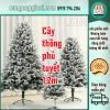 cay-thong-phu-tuyet-cay-thong-12m-lp-17a4-hang-day-ram-sieu-chac-chan - ảnh nhỏ 3