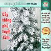 cay-thong-phu-tuyet-15m-lp-17a4-5-bang-gia-ban-si-cay-thong-noel-gia-re-tai-hcm - ảnh nhỏ 4