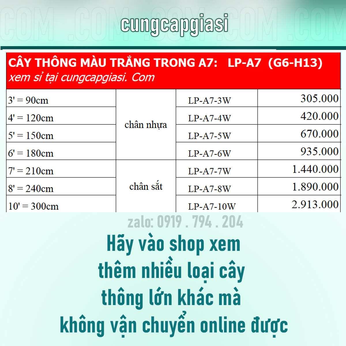 CÂY THÔNG TRẮNG TRONG cao 1,2m. LP-A7-4W. Bảng giá bán sỉ cây thông tại HCM. 